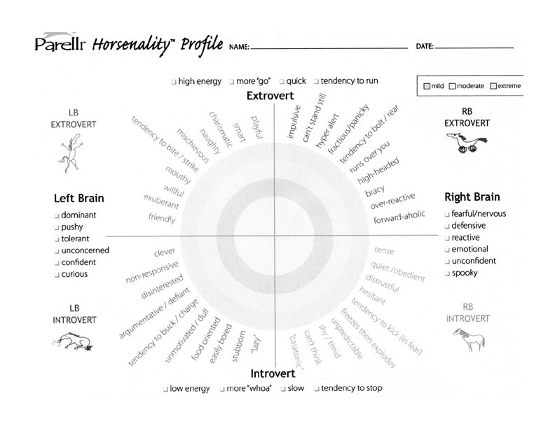 Horsenality Chart
